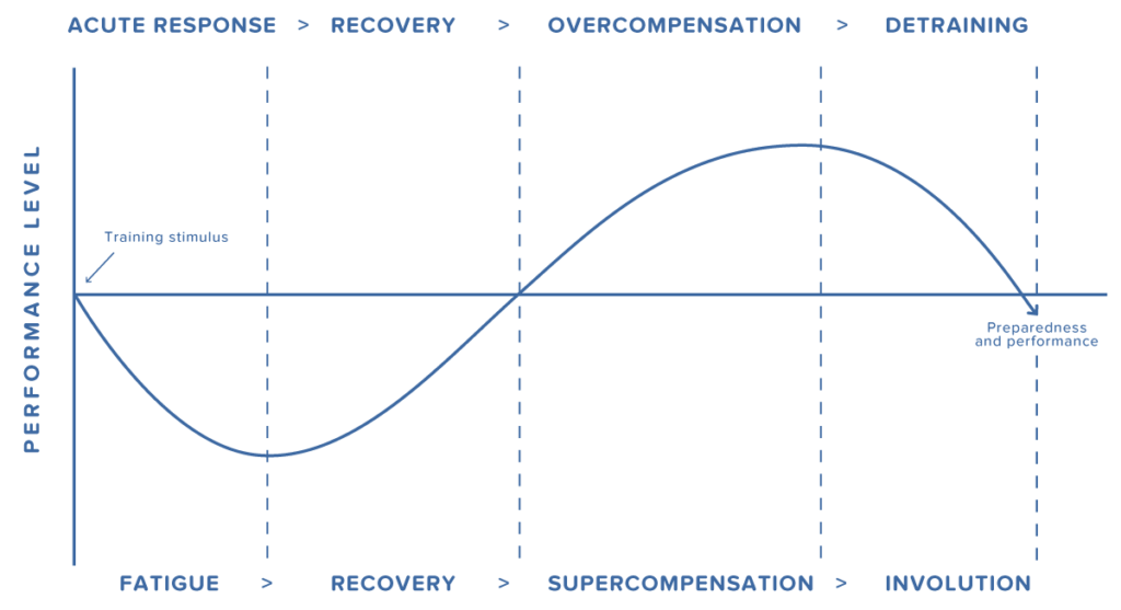Supercompensatie